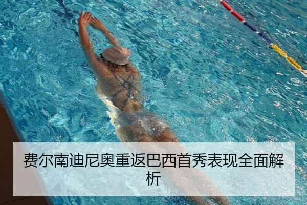 费尔南迪尼奥重返巴西首秀表现全面解析